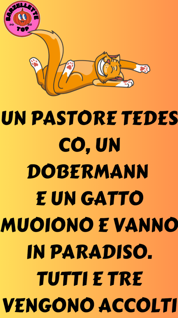 Barzelletta del giorno: Un pastore tedesco, un dobermann e un gatto vanno in paradiso